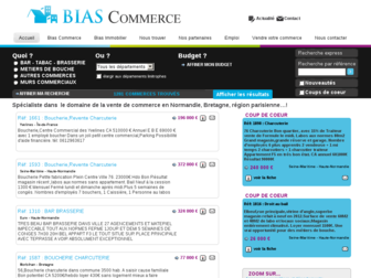 bias-commerce.fr website preview