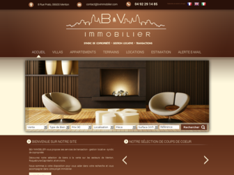 bvimmobilier.com website preview