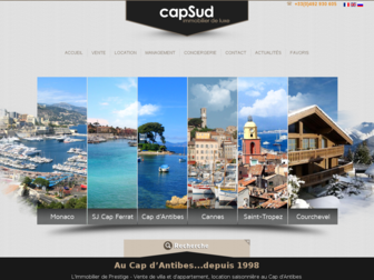 capsudimmo.fr website preview