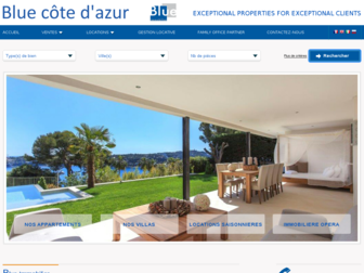 blue-immobilier.fr website preview