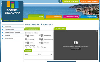 borne-delaunay.com website preview