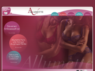 allumette-paris.fr website preview