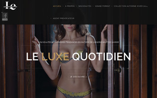 lingeriecollector.com website preview