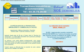 noe-immobilier.com website preview