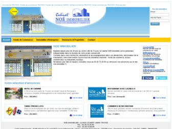 noe-commerces.com website preview