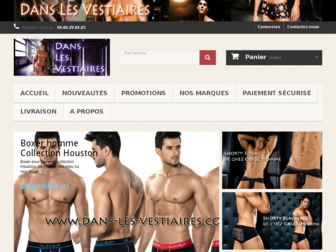 dans-les-vestiaires.com website preview