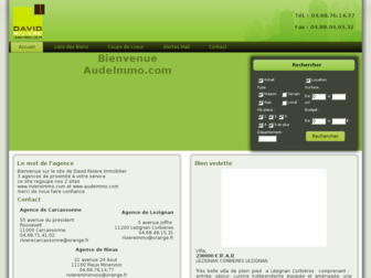 audeimmo.fr website preview