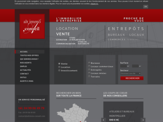 altimmo-conseil.com website preview
