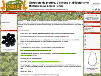 fournisseur-grossiste.biz website preview