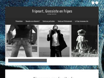 info.fripnart.com website preview