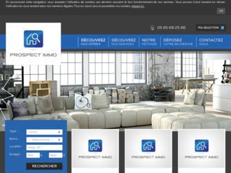 prospect-immo.fr website preview