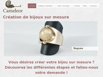 cameleor.com website preview