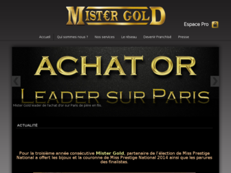 mister-gold.fr website preview