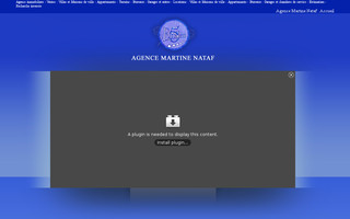 agencemartinenataf.com website preview