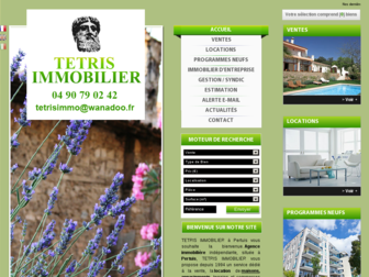 tetris-immobilier.com website preview