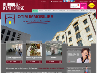 otimimmobilier-entreprises.com website preview