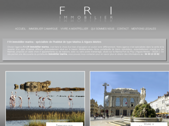 f-r-i.fr website preview