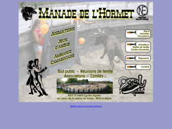 loire-manade.com website preview