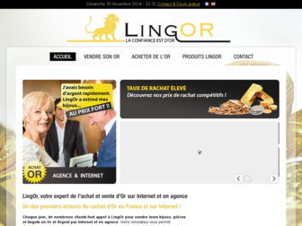 lingor.fr website preview