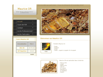 maurice-or.fr website preview
