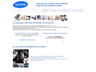 delorme.fr website preview
