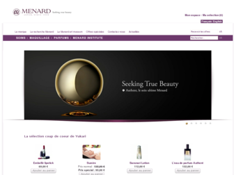 menard.fr website preview