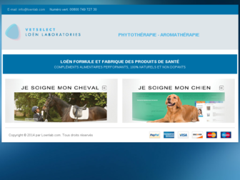 loen-vet.com website preview
