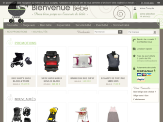 bienvenue-bebe.com website preview