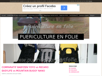 puericultureenfolie.fr website preview