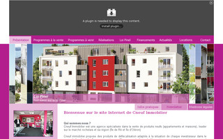 cneufimmobilier.com website preview