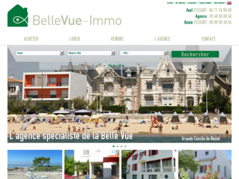 bellevue-immo.fr website preview