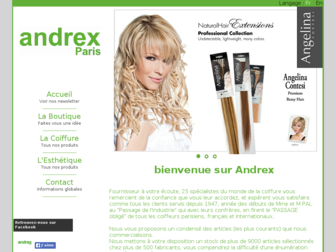 andrex-paris.com website preview