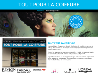 tout-pour-la-coiffure.com website preview