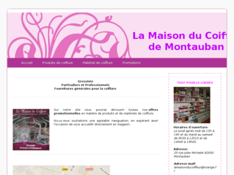 lamaisonducoiffeur.net website preview