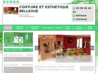 coiffure-esthetique-bellevue.com website preview
