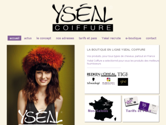 ysealcoiffure.com website preview