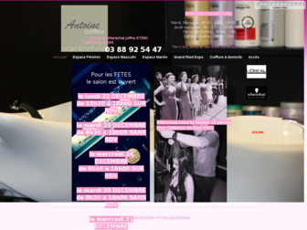 coiffureantoine.fr website preview