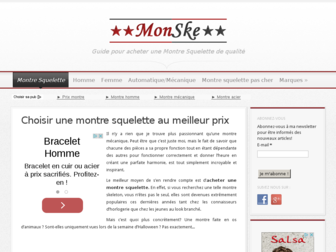 monske.net website preview