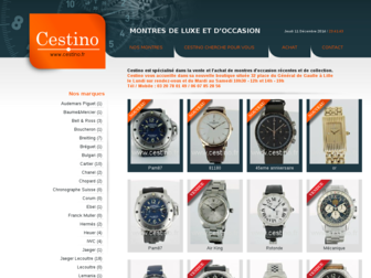 cestino.fr website preview