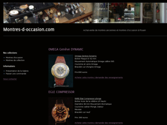 montres-d-occasion.com website preview