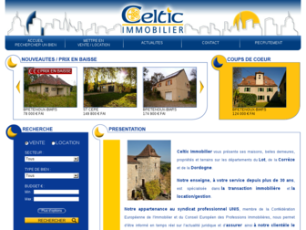 celtic-immobilier.fr website preview