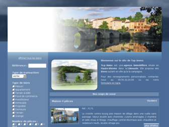agence-immobiliere-topimmo-87.fr website preview