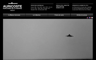 auricoste.fr website preview