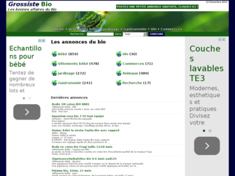 grossiste-bio.fr website preview