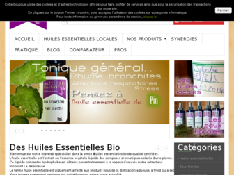 huilesessentiellescherchebrot.com website preview