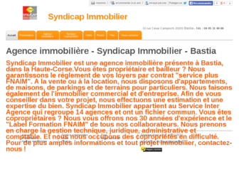 syndicap-immobilier.com website preview