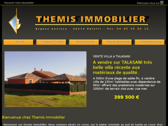 themisimmobilier.fr website preview