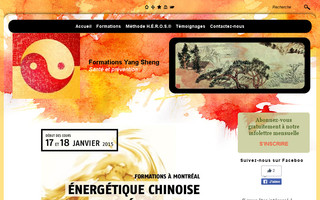 medecinechinoise-reflexologie.com website preview