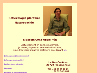 merlinade.free.fr website preview