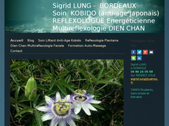 reflexologieplantairefaciale.fr website preview